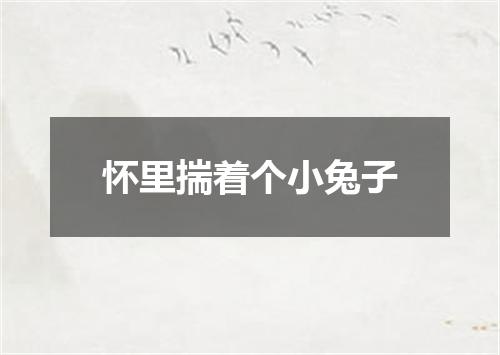 怀里揣着个小兔子