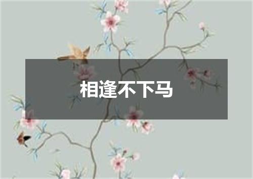 相逢不下马