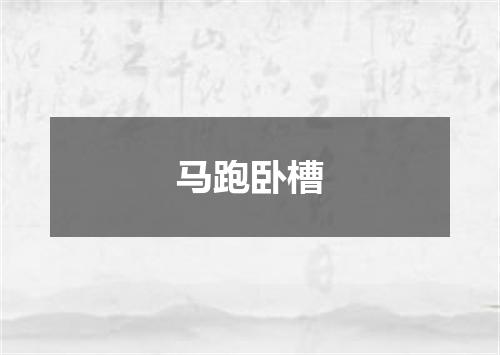 马跑卧槽