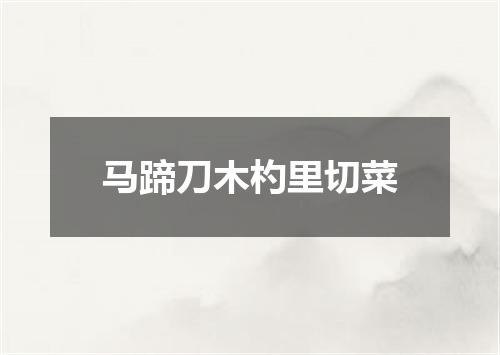 马蹄刀木杓里切菜