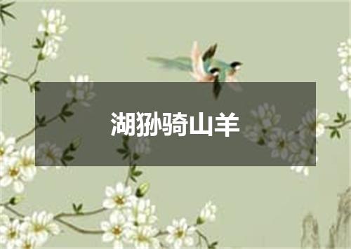 湖狲骑山羊