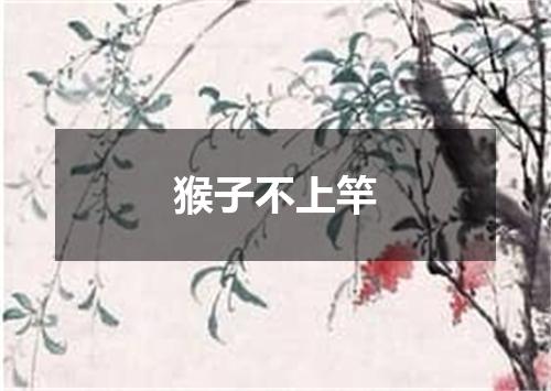 猴子不上竿