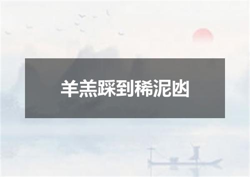 羊羔踩到稀泥凼