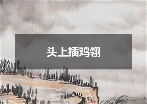 头上插鸡翎