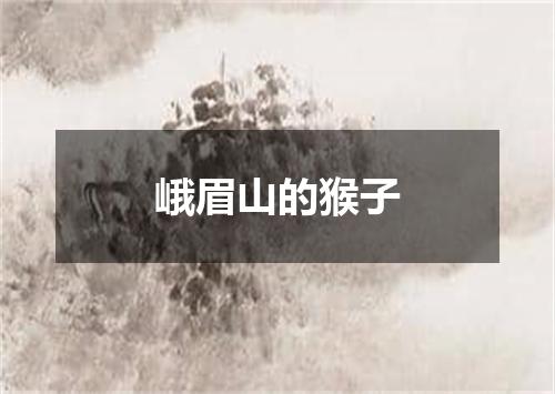 峨眉山的猴子