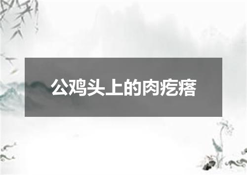 公鸡头上的肉疙瘩
