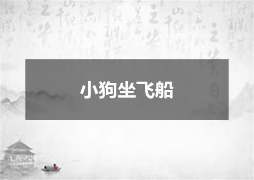 小狗坐飞船