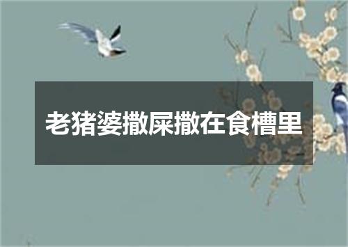 老猪婆撒屎撒在食槽里