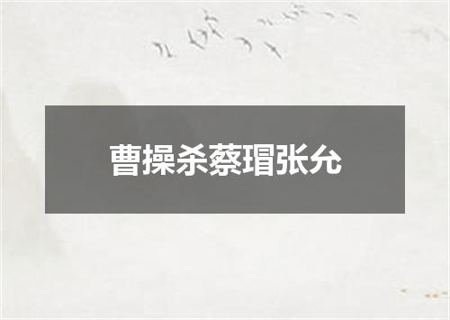 曹操杀蔡瑁张允