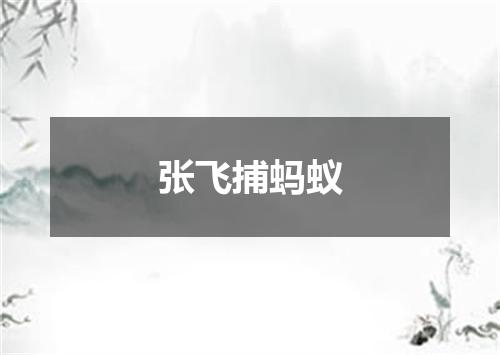 张飞捕蚂蚁