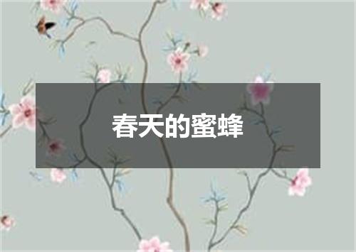 春天的蜜蜂