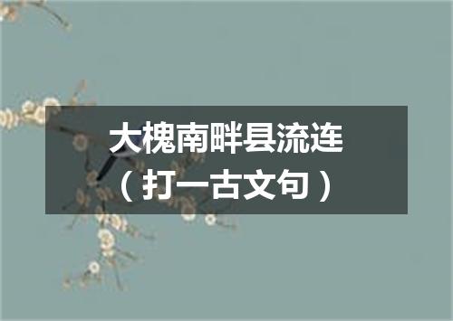 大槐南畔县流连（打一古文句）