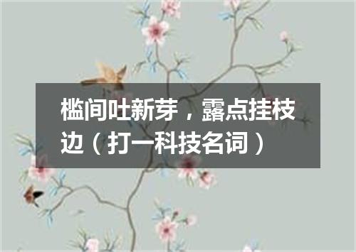 槛间吐新芽，露点挂枝边（打一科技名词）