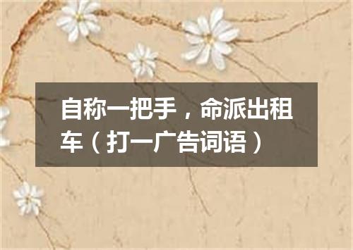 自称一把手，命派出租车（打一广告词语）