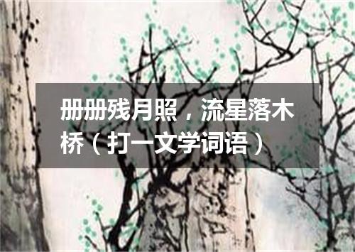 册册残月照，流星落木桥（打一文学词语）
