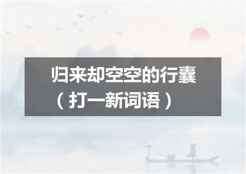 归来却空空的行囊（打一新词语）