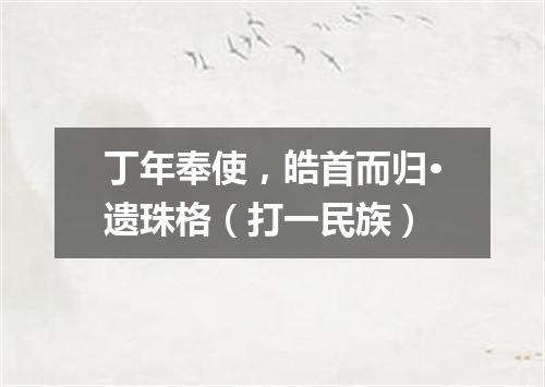 丁年奉使，皓首而归·遗珠格（打一民族）