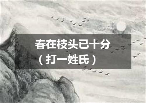 春在枝头已十分（打一姓氏）