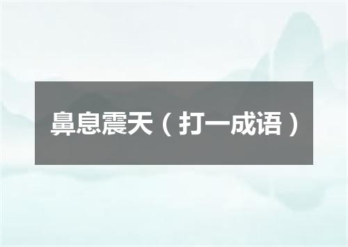 鼻息震天（打一成语）