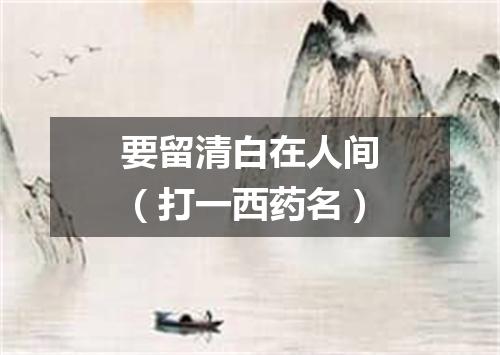 要留清白在人间（打一西药名）
