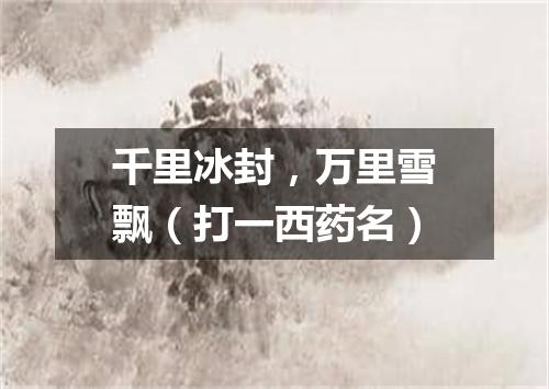 千里冰封，万里雪飘（打一西药名）