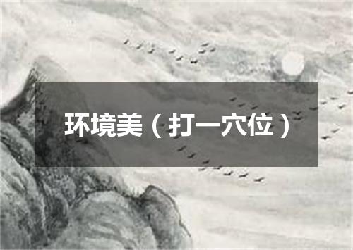 环境美（打一穴位）