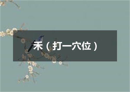 禾（打一穴位）