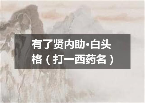 有了贤内助·白头格（打一西药名）