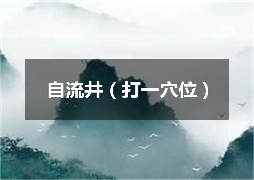自流井（打一穴位）
