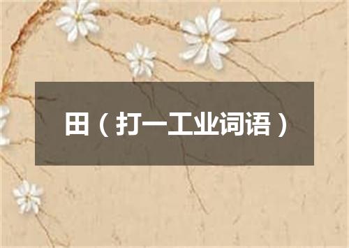 田（打一工业词语）