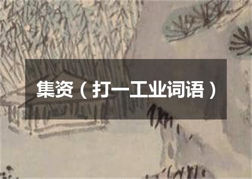 集资（打一工业词语）