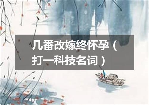 几番改嫁终怀孕（打一科技名词）