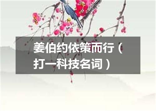 姜伯约依策而行（打一科技名词）