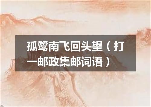 孤鹭南飞回头望（打一邮政集邮词语）
