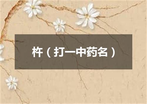杵（打一中药名）