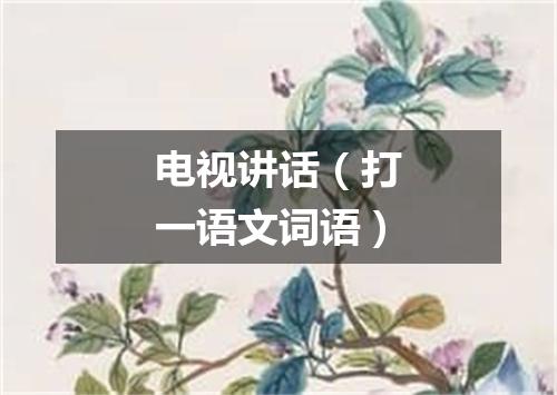 电视讲话（打一语文词语）