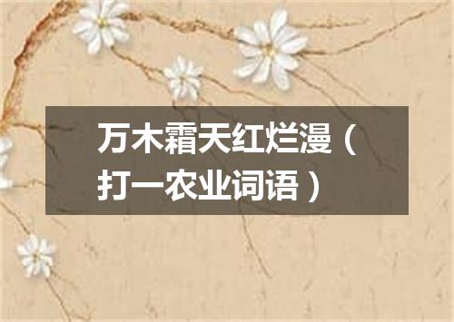 万木霜天红烂漫（打一农业词语）