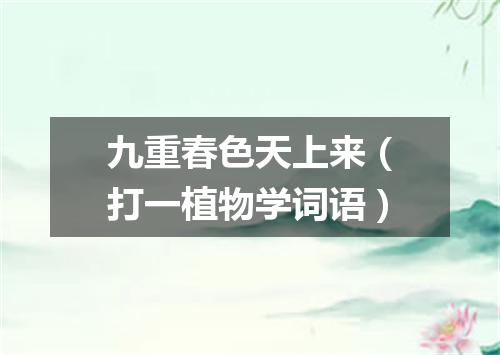 九重春色天上来（打一植物学词语）