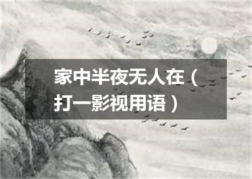 家中半夜无人在（打一影视用语）