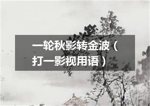 一轮秋影转金波（打一影视用语）