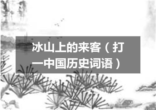 冰山上的来客（打一中国历史词语）