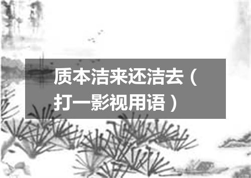 质本洁来还洁去（打一影视用语）