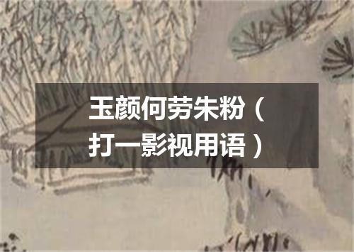 玉颜何劳朱粉（打一影视用语）