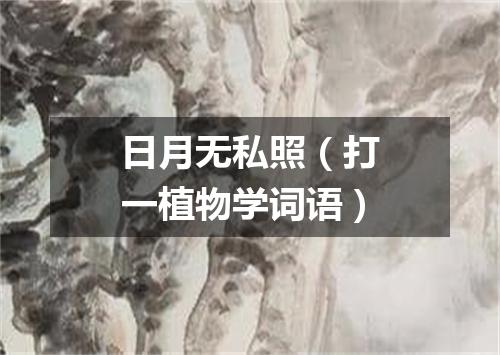 日月无私照（打一植物学词语）