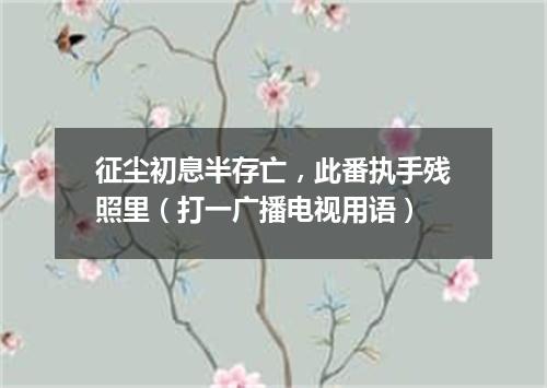 征尘初息半存亡，此番执手残照里（打一广播电视用语）