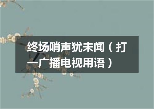终场哨声犹未闻（打一广播电视用语）