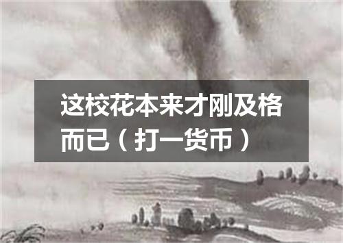 这校花本来才刚及格而已（打一货币）