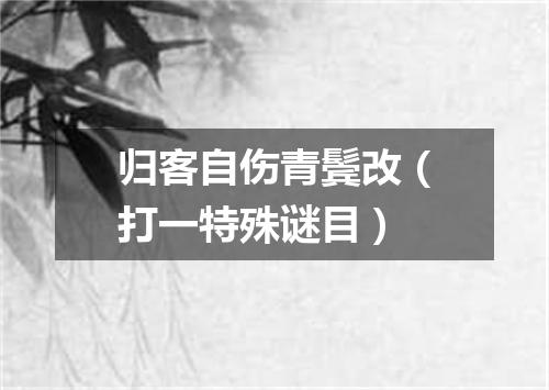 归客自伤青鬓改（打一特殊谜目）