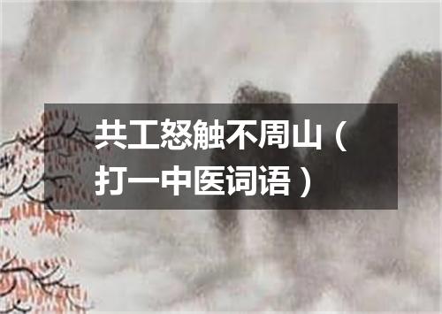 共工怒触不周山（打一中医词语）