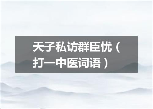 天子私访群臣忧（打一中医词语）
